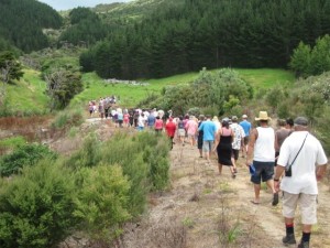 Kiwi Release Jan Ody Rd 028