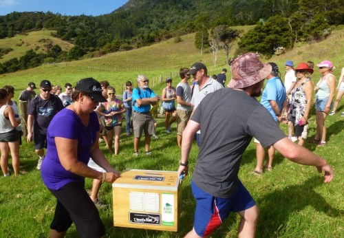 2015 Kiwi release at McLeod Bay - Kaha is on his way to the release site.