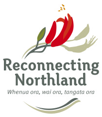 Reconnecting Northland