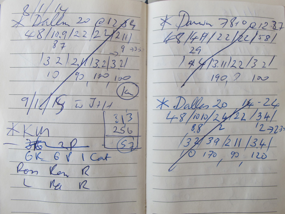 This is a photo of Dallas’s data stream written in Todd’s notebook on the 9th January 2015