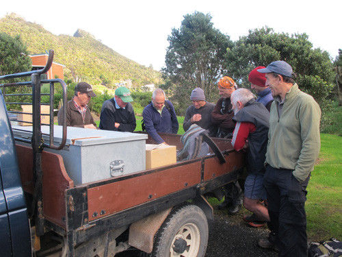 15.07.Manaia -community effort-7597