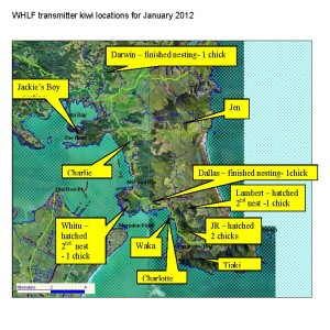 kiwi map Jan 2012