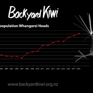 w-2018 Kiwi pop
