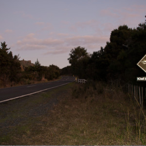 w-Kiwi Crossing sign-