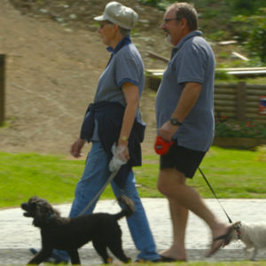 w-dogs on leads psd
