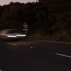 w-kiwi-crossing-3210