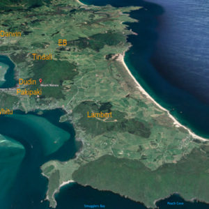 www-WH-Peninsula -Local Kiwi