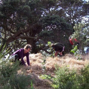 100_0604-small