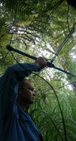 E-todd tracking 2