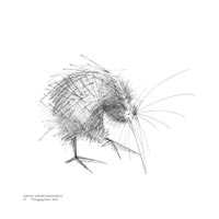 prints-th-BYK-Foraging