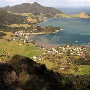 The WHLF supports community landcare groups in Whangarei Heads