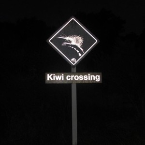 w-BYK-Sign-Nigh-time-Run_7267