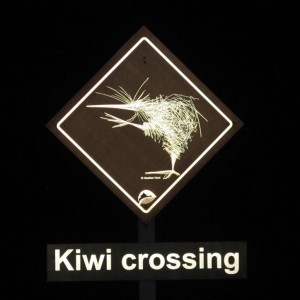 w-BYK-Sign-Nigh-time-walk_7260