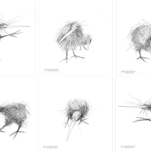 w-sketching-the-BYK-6-kiwi-