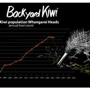 21-Kiwi Call Count Graph-01