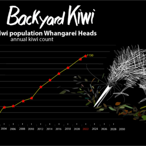 22-Kiwi Call Count Graph