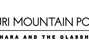Kauri-Mountain-Point