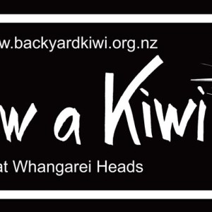 w-15-Bumper-Sticker-I-saw-