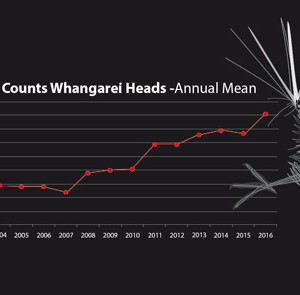 w-16-Kiwi-Call-Count-Graph