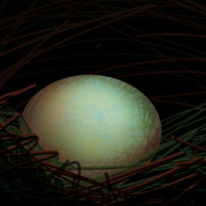 web P-EGG- It’s my egg
