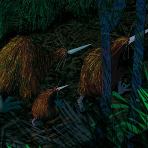 w-3 kiwi illustration
