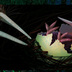 w- kiwi chick illustration