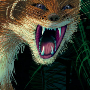 w.Stoat portrait-illustration