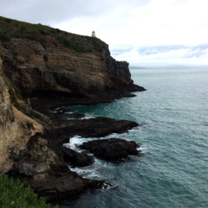 w-Albatross Sanctuary[1]