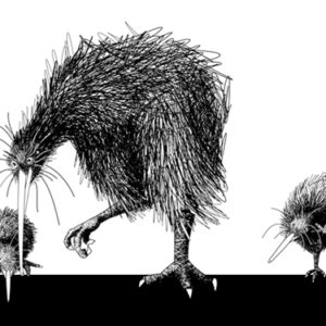 w-kiwi-dad+chicks drawing