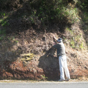 w-18-10-Roadside nest in bank