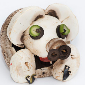 w-pug