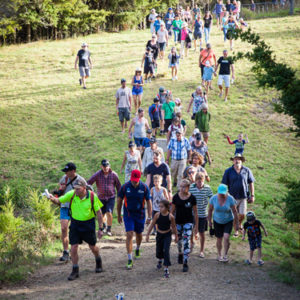w-crowd heading to burrow sites