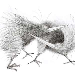website-Kiwi mates