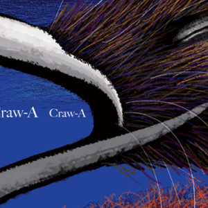 website-MR KIWI Crawa