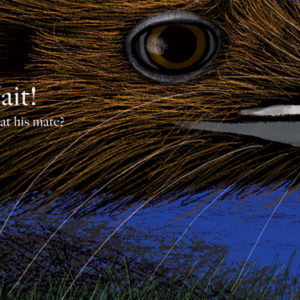 website-MR KIWI listen