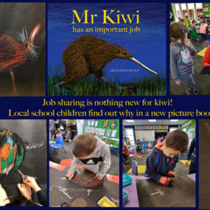 website*Mr Kiwi Montage