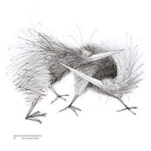 w-Kiwi mates print