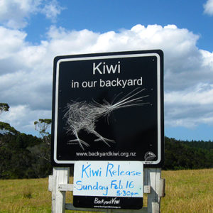 w-kiwi release sign