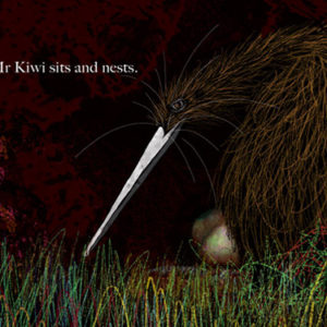 w-Mr Kiwi sits and nests