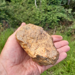 w-Teina’s Egg Rock