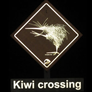 w-Kiwi crosssing sign photo