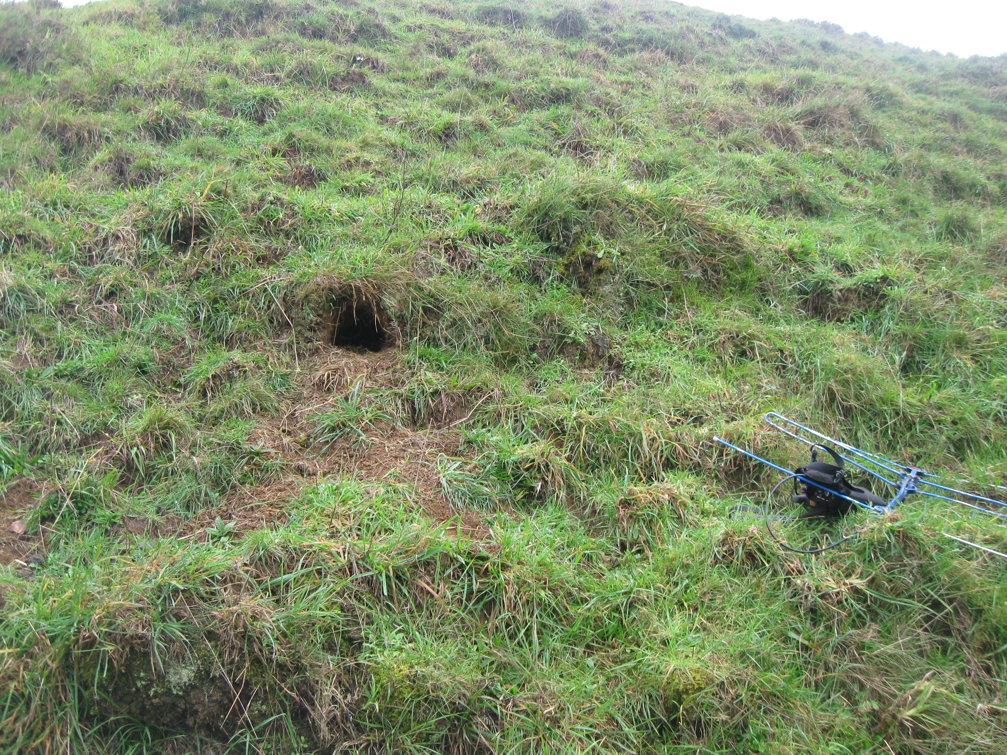 gorgeous nest aug 2020 (3)