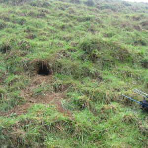 w-gorgeous nest aug 2020 (3)