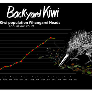 w-21-Kiwi-Call-Count-Graph-01