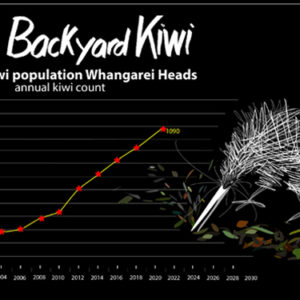 w-21 Kiwi Pop graph