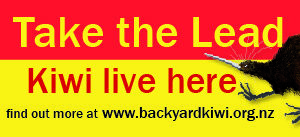 BYK-Take the Lead-banner