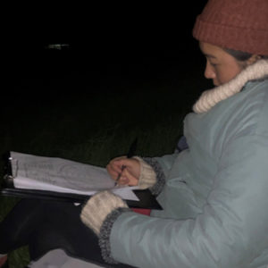 w-Kiwi Call count+Joanne-landscape