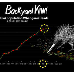 22-Kiwi Call Count Graph-highlights
