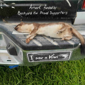 w-23-Big stoat