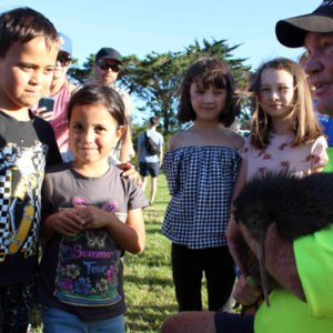w-23-Kiwi Release -Smiles All Around